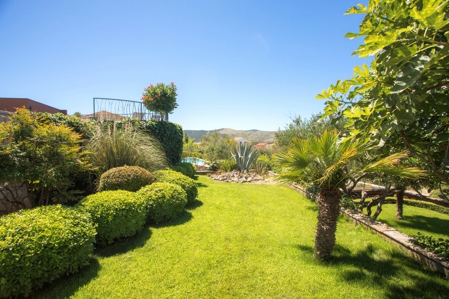 Jardin méditerranéen avec pelouse entretenue