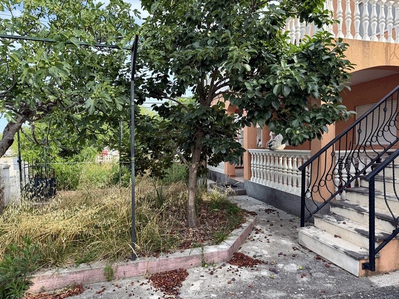 Jardin avec arbres fruitiers et escalier extérieur