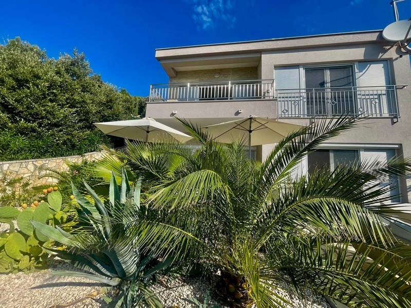 Vue de la maison avec palmiers et parasol