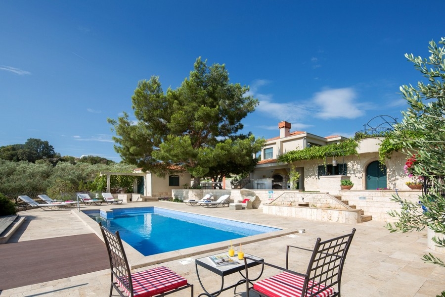 Piscine avec espace détente sous un vieux pin