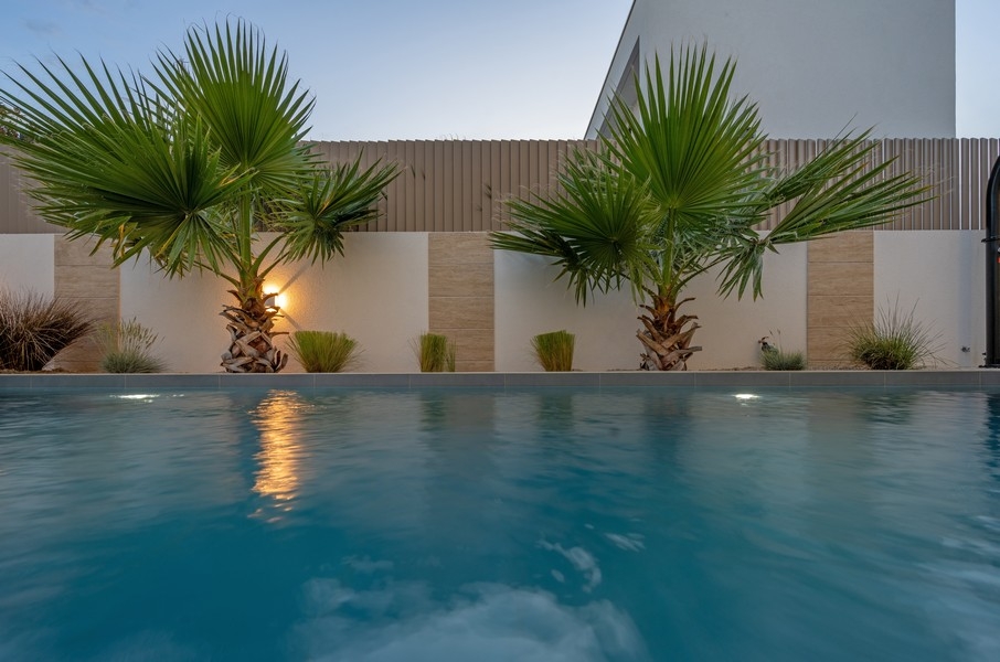 Piscine avec palmiers et terrasse de piscine éclairée