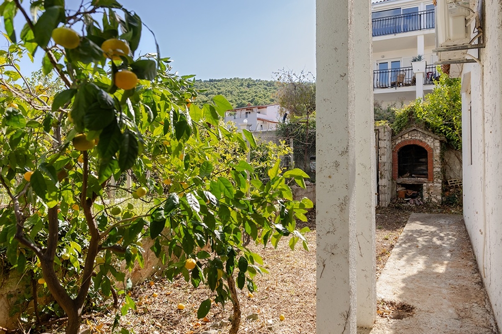 Jardin avec citronnier et coin barbecue maçonné