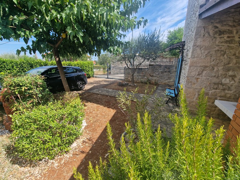 Jardin avec olivier et place de stationnement