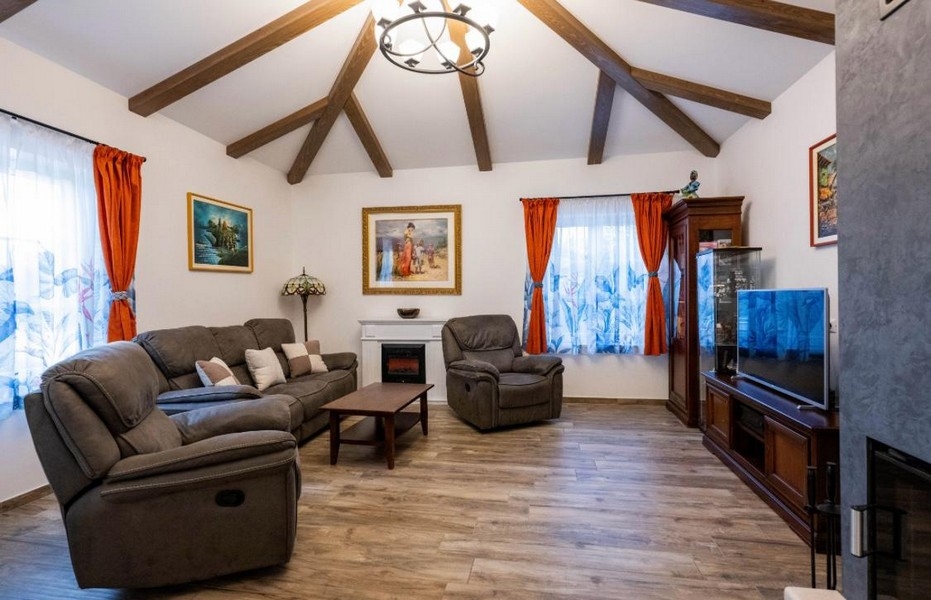 Séjour avec plafond en bois et cheminée