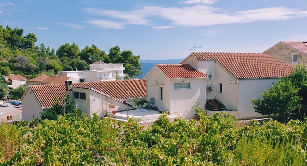 Vue depuis le vignoble sur la maison à Podobuce