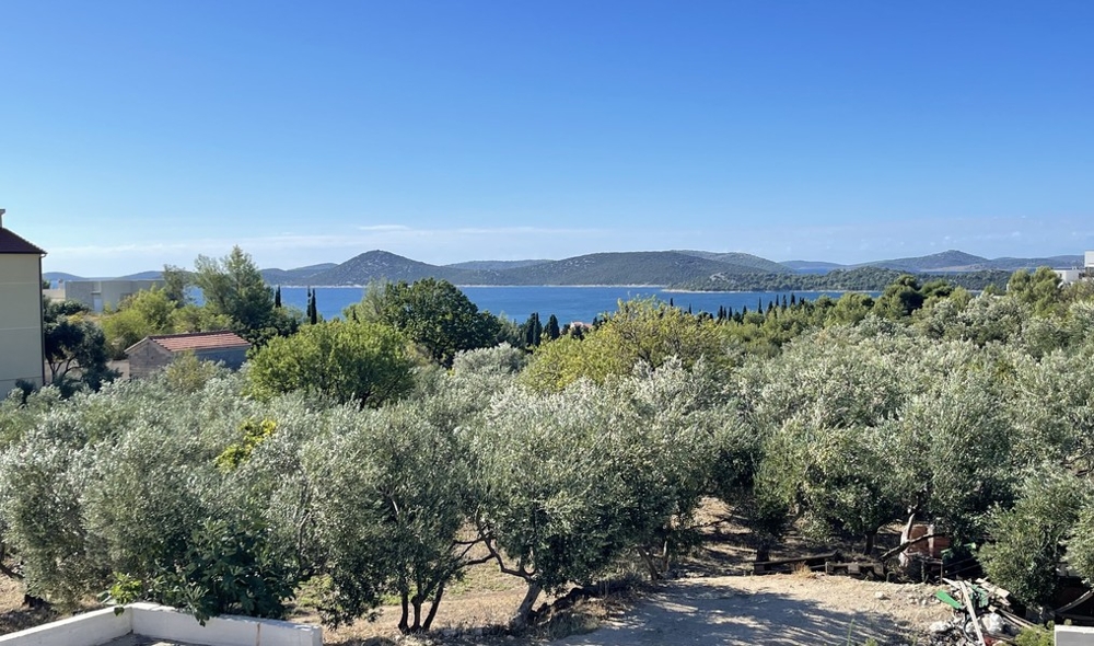 Vue mer par-dessus les oliveraies sur l'Adriatique à Vodice