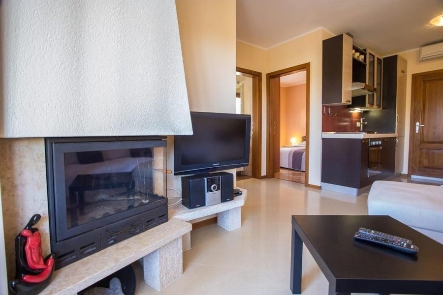 Séjour avec cheminée et kitchenette