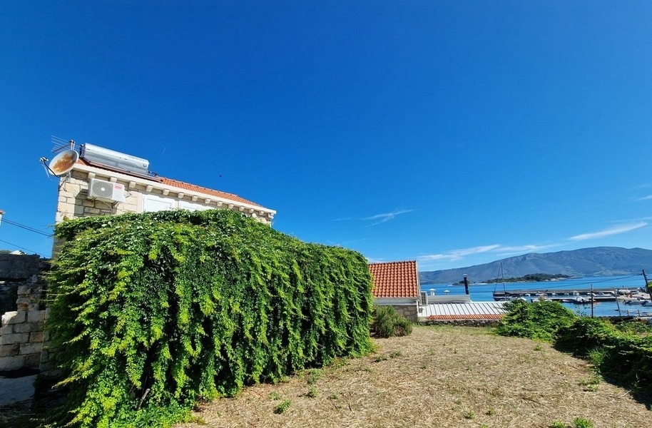 Jardin avec vue sur la mer