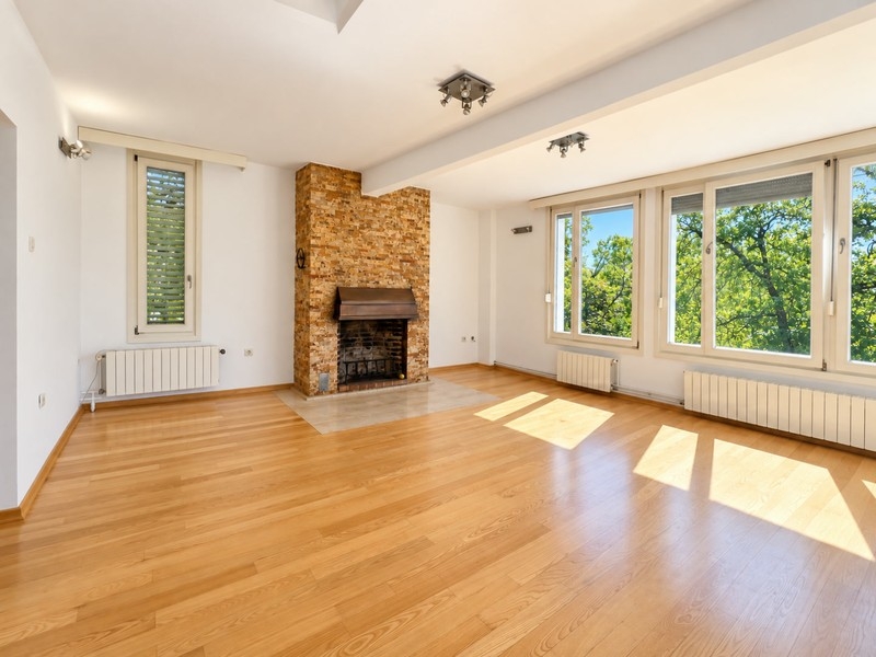 Salon avec cheminée et parquet