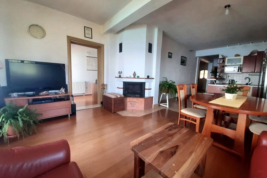 Salon avec cheminée et espace repas