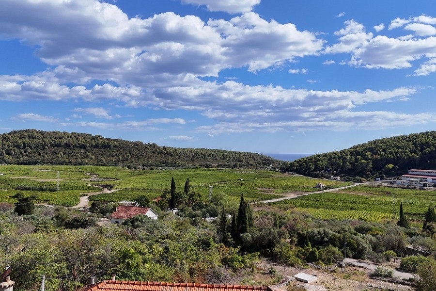 Vue sur les vignes et les champs