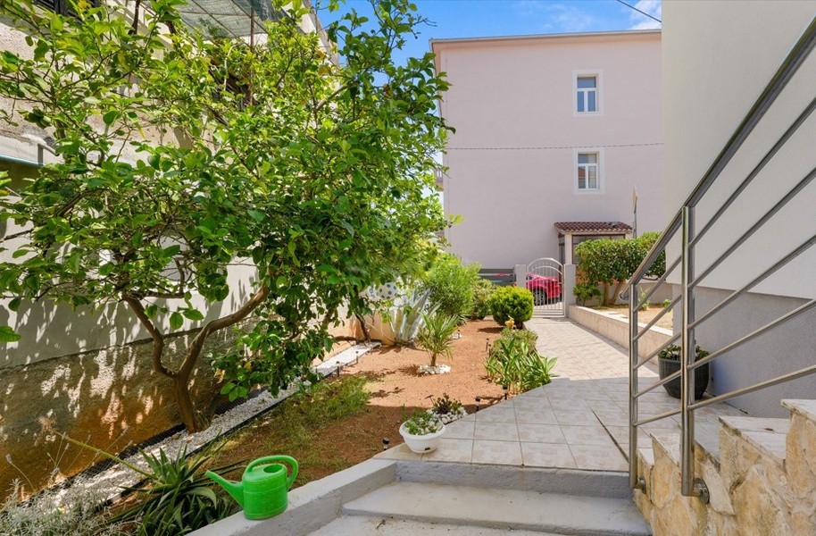 Jardin avec chemin et plantes