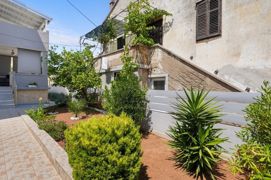 Jardin avec palmier et arbustes