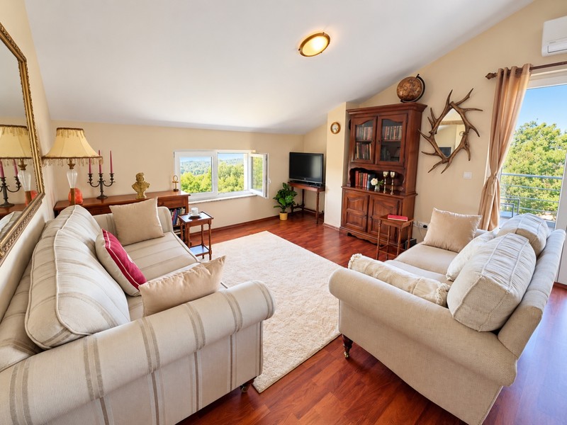 Salon avec canapés et parquet