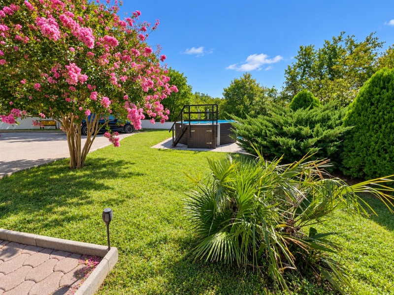 Pelouse avec arbre en fleurs, palmier et piscine hors sol