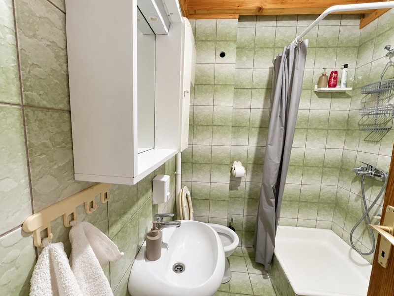 Salle de bains avec douche