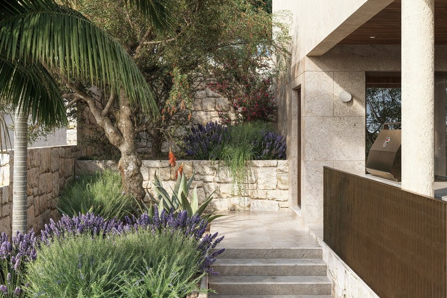 Jardin méditerranéen avec escalier menant à la maison