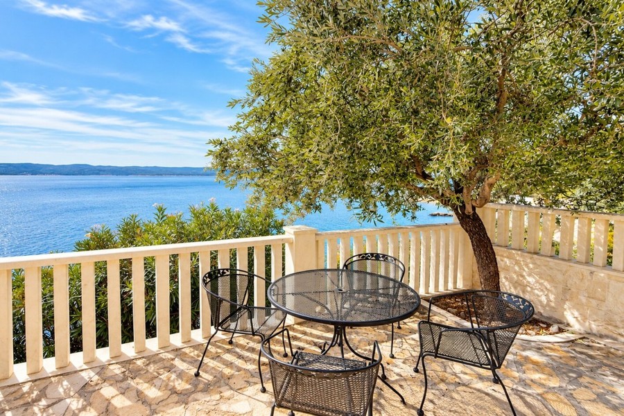 Terrasse avec olivier et vue sur la mer
