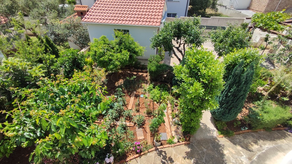 Jardin avec arbres fruitiers et herbes aromatiques
