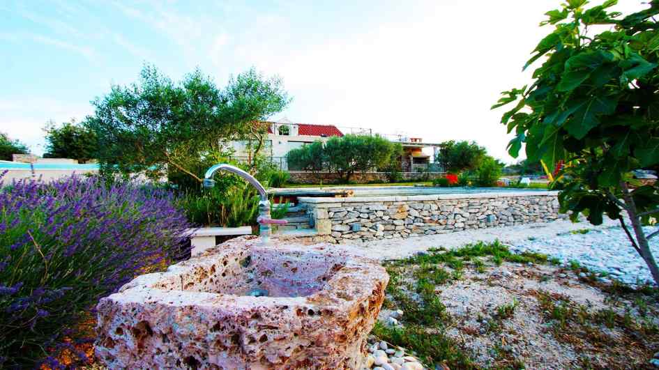 Villa avec grand terrain et piscine en Croatie sur l'île de Brac à vendre.