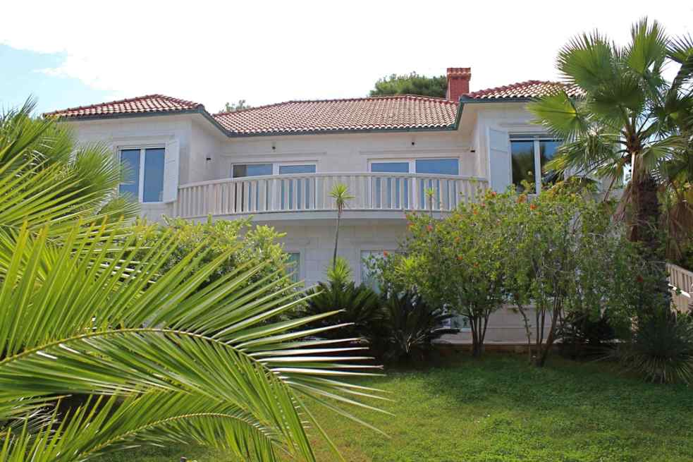 Maison avec balcon courbe derrière des palmes